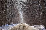 Winter Backroad_05164